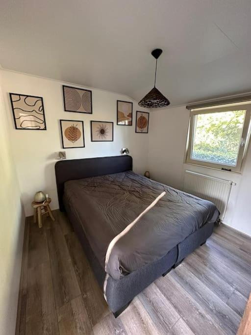 Luxe Chalet Met Uniek Vrij Uitzicht Op Rustig Park In Papenvoort Drenthe Buitenkant foto