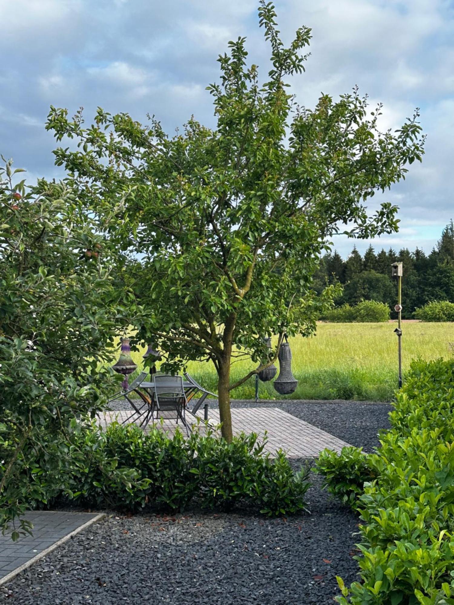 Luxe Chalet Met Uniek Vrij Uitzicht Op Rustig Park In Papenvoort Drenthe Buitenkant foto